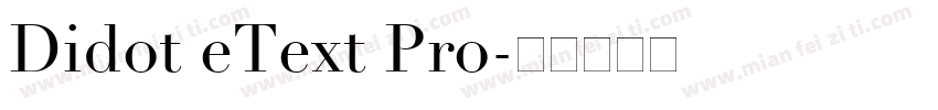 Didot eText Pro字体转换